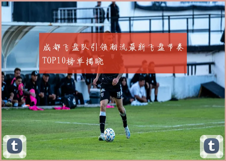 成都飞盘队引领潮流最新飞盘节奏TOP10榜单揭晓